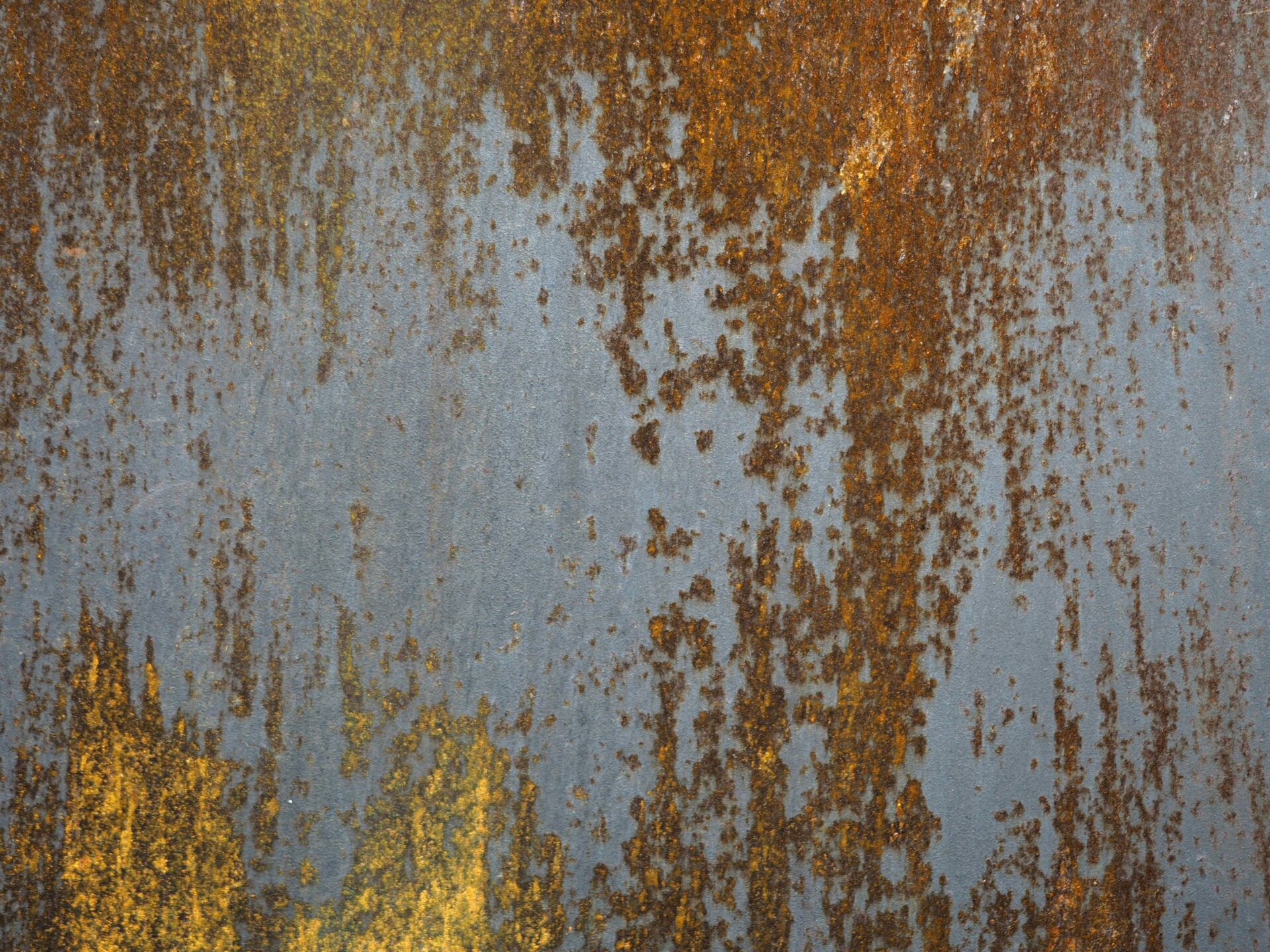 Photo by Mariska Vereijken on Unsplash