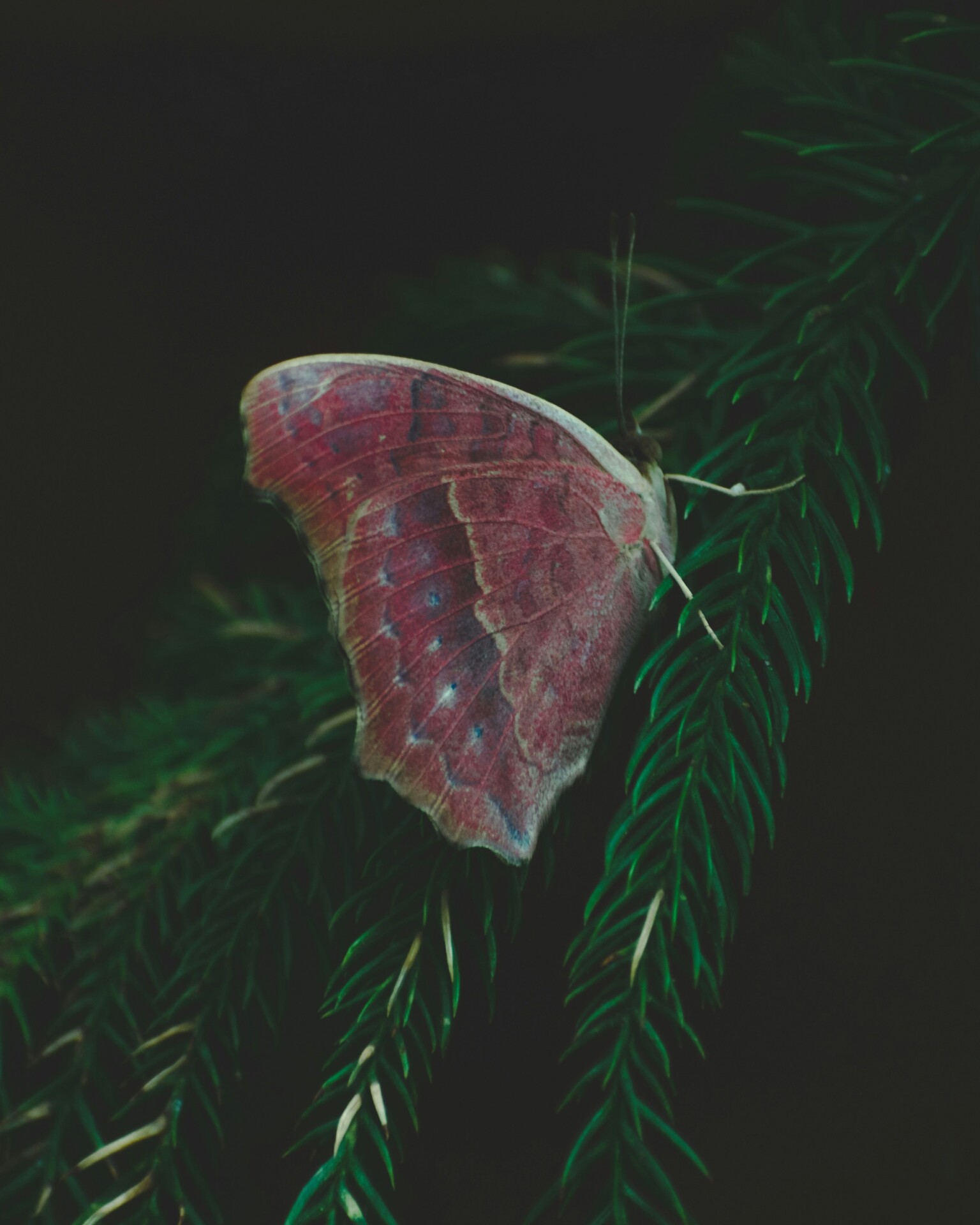 Photo by Chirag Saini on Unsplash