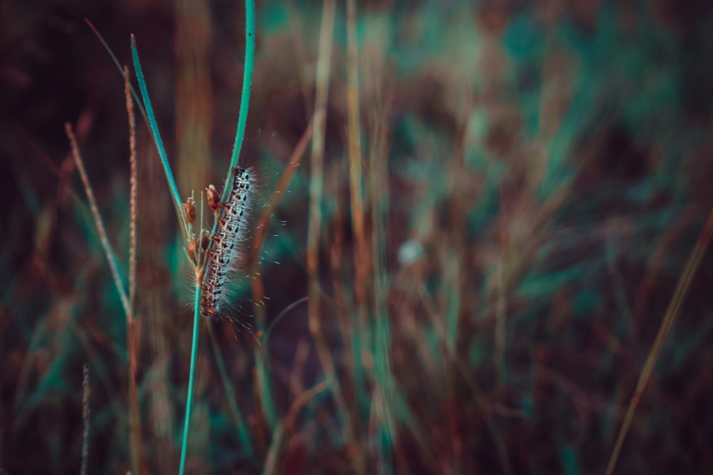 Photo by YOGESH GOSAVI on Unsplash